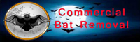 Commercial Bat Removal